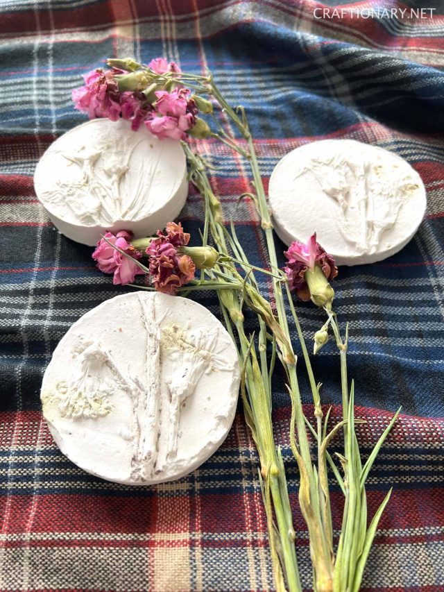dried botanical plaster casting art using cookie cutter