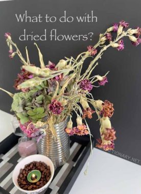 What to do with dried flowers?