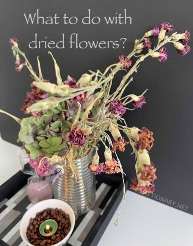 What to do with dried flowers?