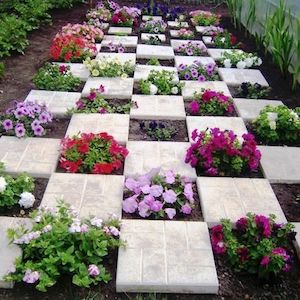 Checkered-Flower-and-Paver-Garden