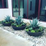 120 Best Front yard and Backyard Landscaping Ideas - Craftionary