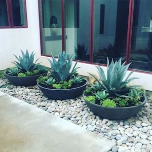 Easy-Potted-Plants-Landscaping