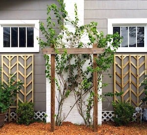 Easy-to-build-chevron-lattice-to-add-height-and-interest-to-your-flower-beds-for-spring