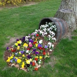 Overflowing-Wine-Barrel-Planter-Small-Yard-Design-Solutions