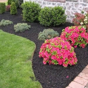affordable-landscaping-idea