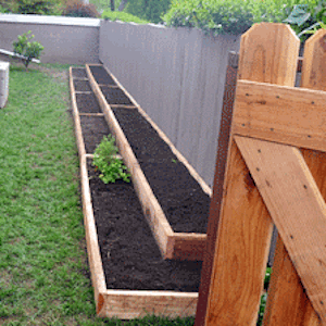 along-fence-garden-bed
