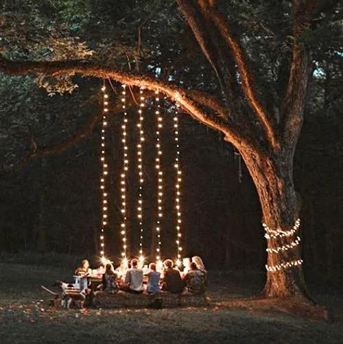dining-under-tree-lights-backyard-landscape-design
