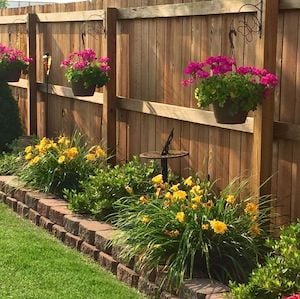 flowers-along-fence