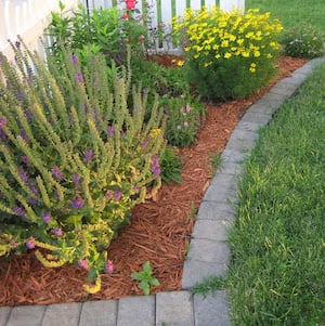 front-yard-garden