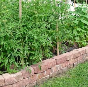 retaining-wall-raised-garden