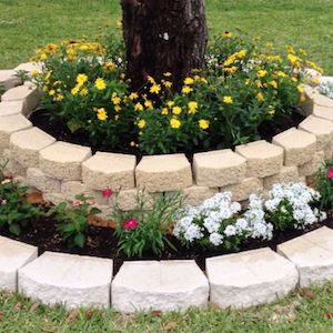 tree-ring-planter