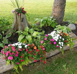 tree-stump-log-fences-gardening