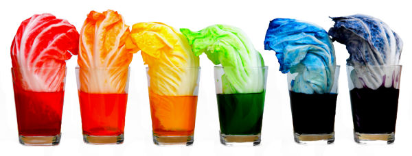 rainbow-cabbage-experiment-for-kids-science