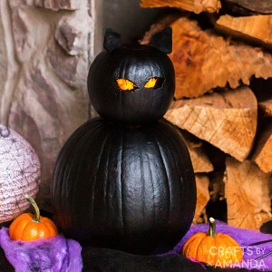 Halloween-Black-Cat-Pumpkin