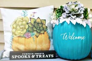 Teal-Pumpkin-Succulent