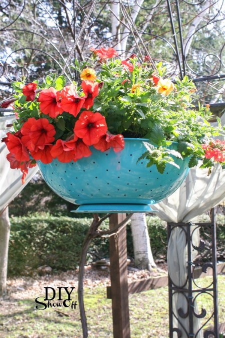 Vintage-Colander-Planter-for-balcony