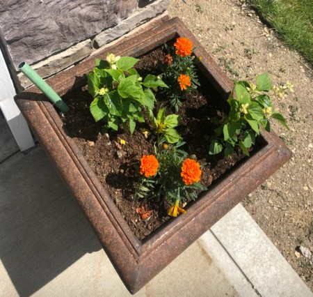 any-flowerpot-to-self-wicking-planter