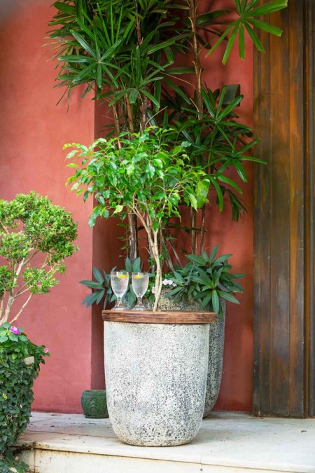 ceramic-self-watering-planter