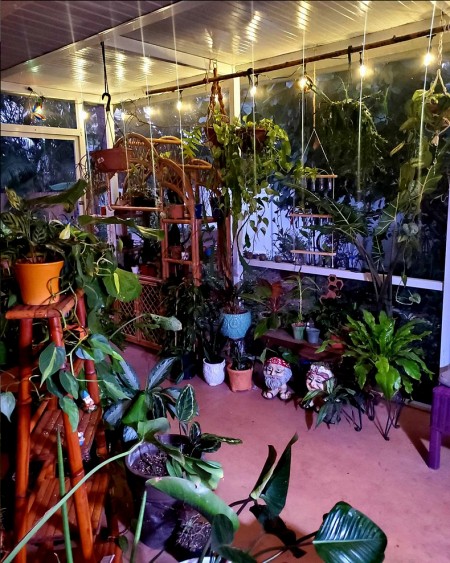 create-patio-jungle