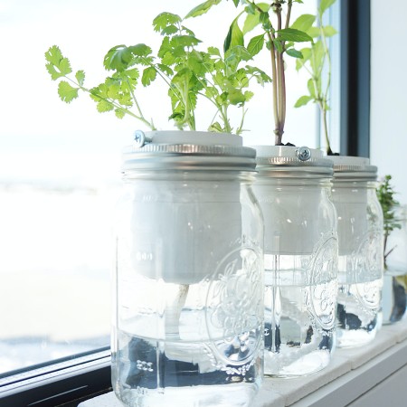 diy-self-watering-herb-planter