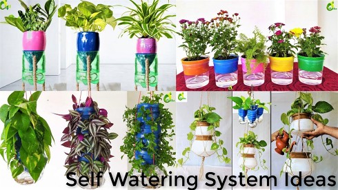 diy-self-watering-planter-ideas