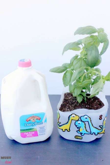 gallon-milk-jug-self-watering-planter
