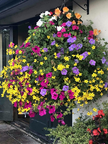 hanging-basket-full-of-flowers