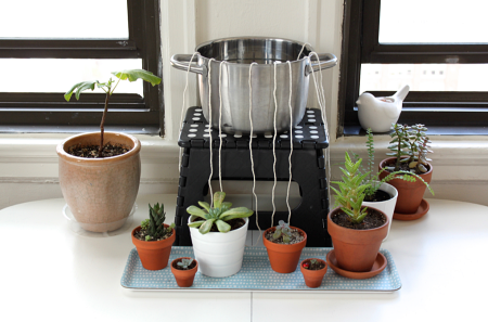 houseplants-self-watering-system-diy