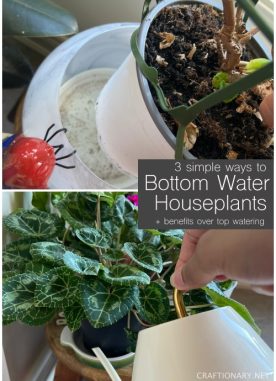 3 easy how to bottom water plants in pots