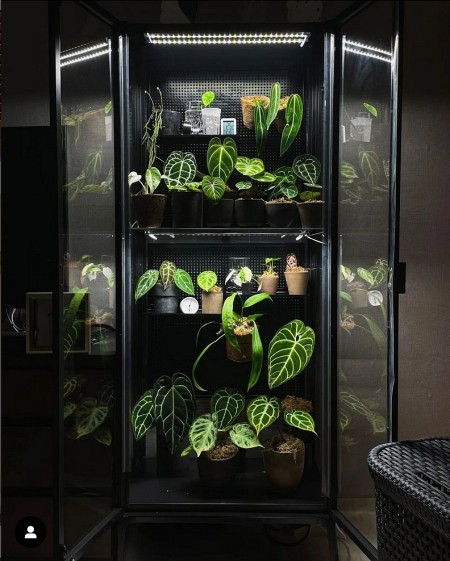 ikea-greenhouse-cabinet-small-garden