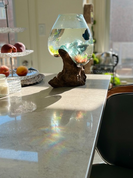 rainbow-fish-reflection-craftionary