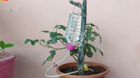 self-watering-planter-with-tube