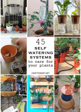 45 Self watering planters DIY ideas and tutorials