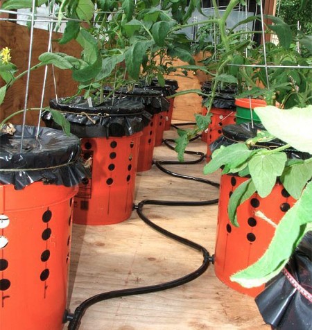 self-watering-planters-irrigation-system-with-buckets
