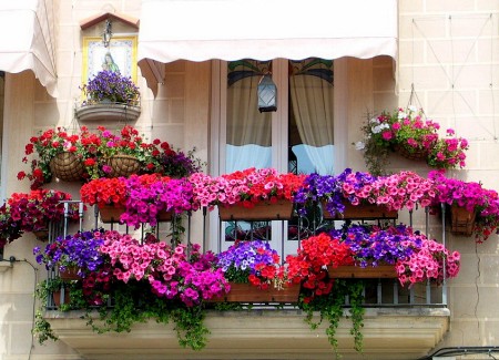 small-garden-ideas-balcony-with-petunia