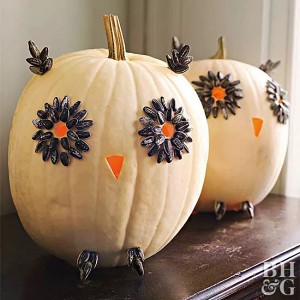 sunflowerseedsowlpumpkin