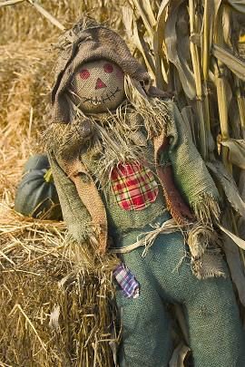 make-classic-traditional-scarecrow