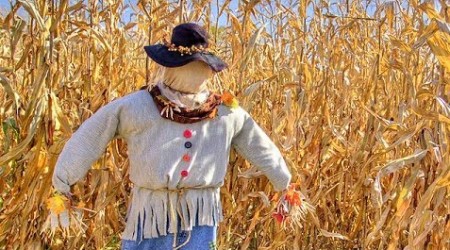 traditional-basic-scarecrow