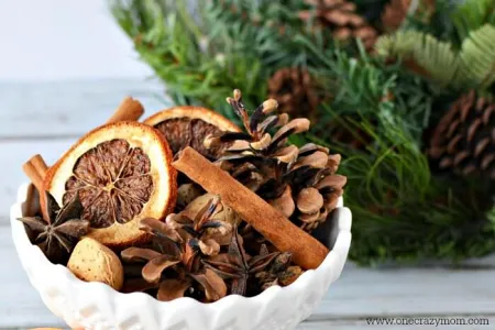 easy-cinnamon-potpourri