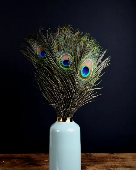 feathers-peacock-naturelles-vert-vase-arrangement