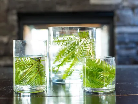 fern-in-glass-vase-with-water