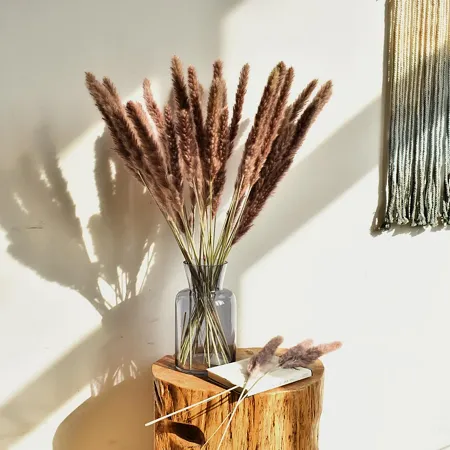 natural-pampas-grass-dry-flowers-arrangement