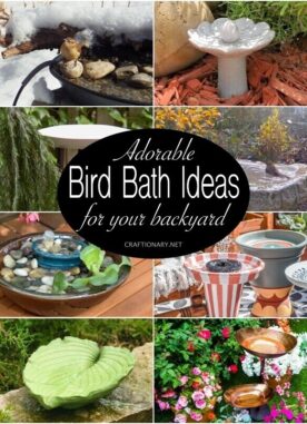 Adorable BIRD BATH IDEAS for your backyard