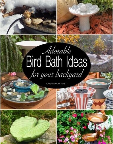 Adorable BIRD BATH IDEAS for your backyard