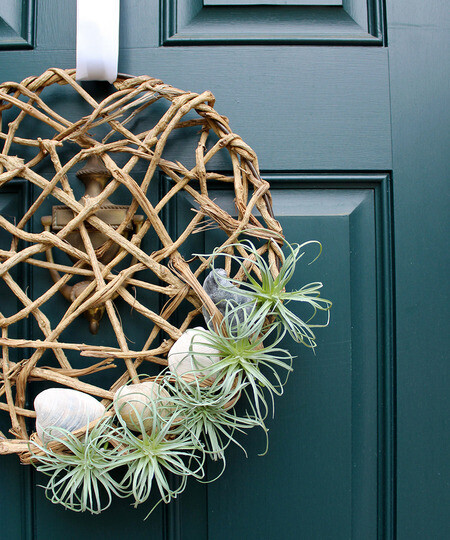 DIY Air Plant Hangers - Homey Oh My