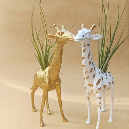 airplantgiraffepotsindoordecor