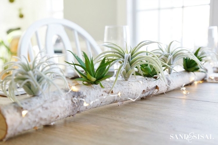 birch-log-centerpiece-with-airplants