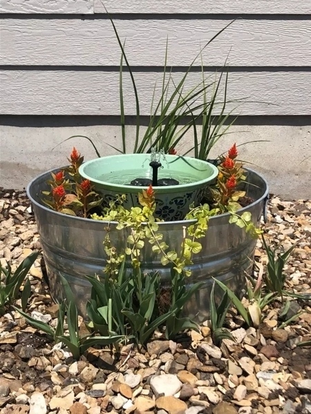 bird-bath-planter