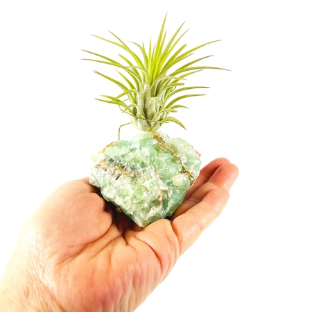 crystal-air-plant-holder-gift-for-home