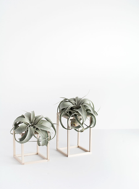 diy-air-plant-stand